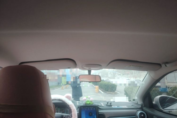 Used Chery Little Ant 2022 Sweet Pink Edition Low-Sugar Version Lithium Iron Phosphate 30 kW 301 km