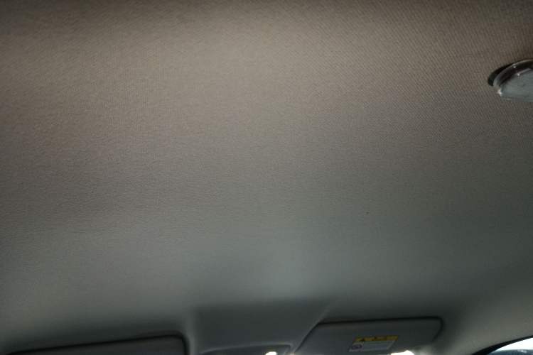 Used Leapmotor T03 2023 200 Lite Edition Headliner
