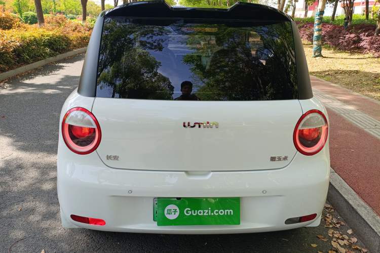 Used CHANGAN NEVO Lumin 2023 205km Xiangqin Version