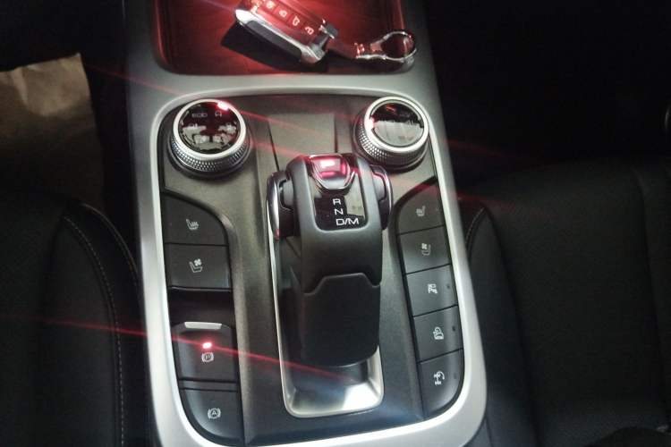 Used Tank 300 2021 City Edition 2.0T—Truly Stylish
