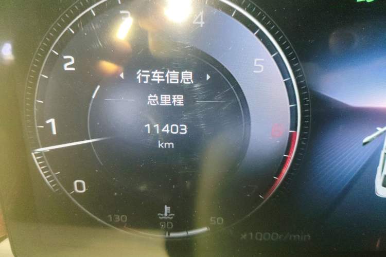 Used Hongqi H5 2025 2.0T Automatic Flagship 500 000th Unit Anniversary Edition Odometer Close Up