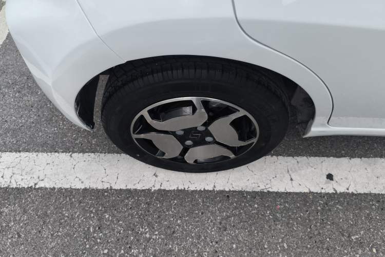 Used SOL E10X 2022 Flower Fairy Style Baby's Breath