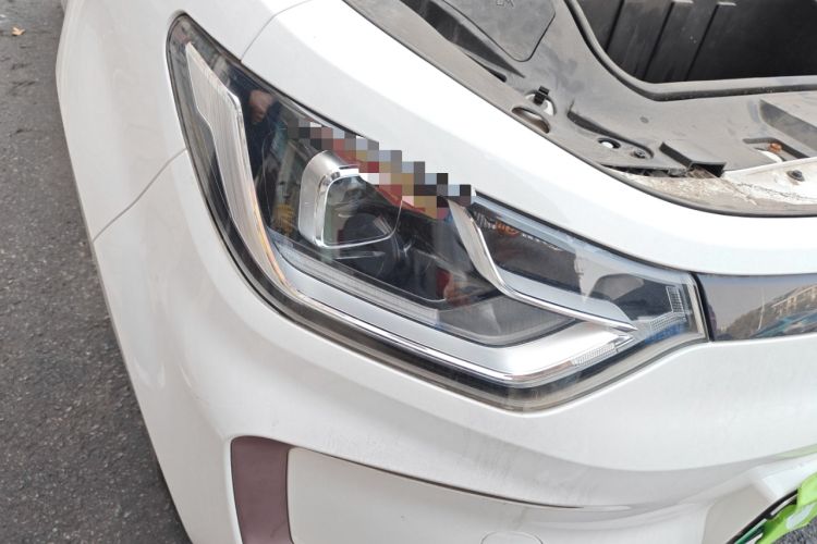 Used SOL E10X 2022 Flower Fairy Design Four-Leaf Clover