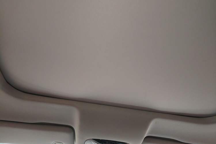 Used GAC Trumpchi GS8 2017 320T Two-Wheel Drive Luxury Smart Connectivity Version (7 Seats) Headliner