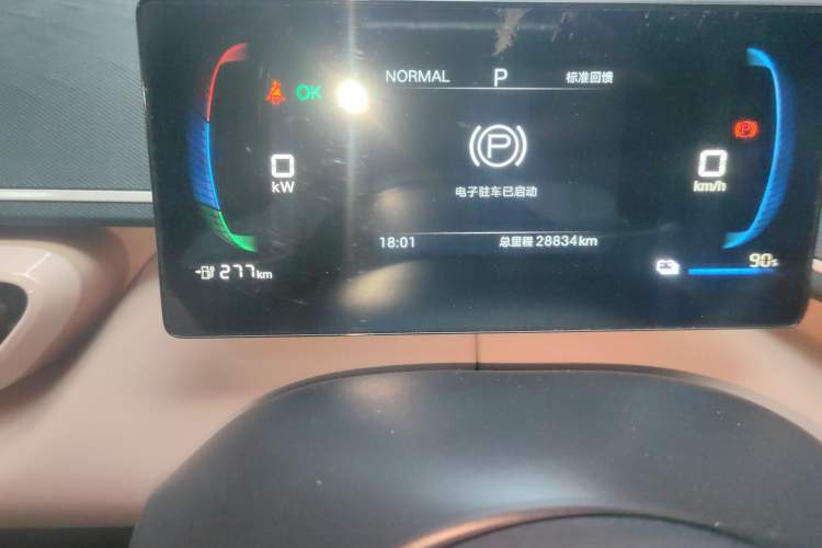 Used BYD Seagull 2025 305km Active Version Odometer Close Up