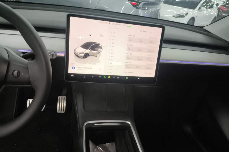 Used Tesla Model Y 2023 High-Performance All-Wheel-Drive Version
