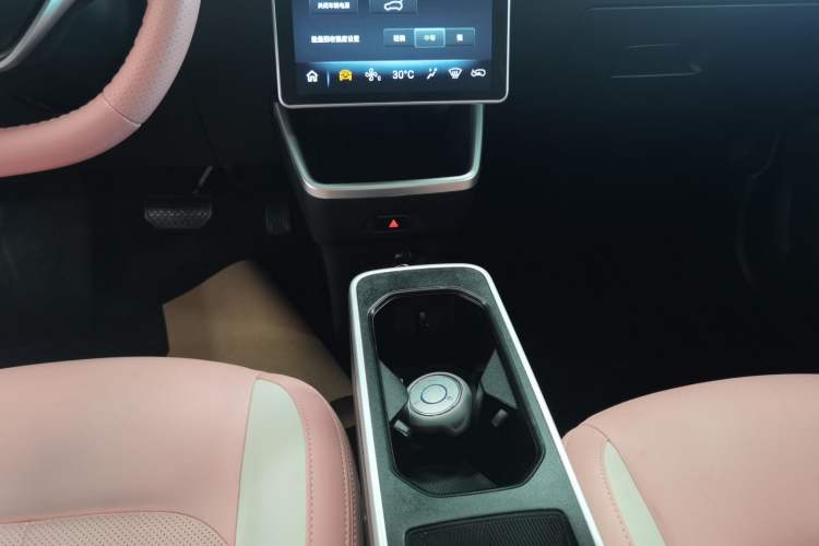 Used NETA V 2021 Witch Edition