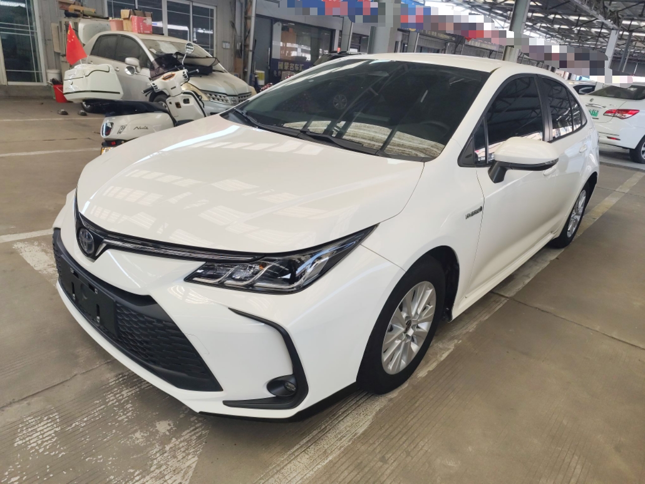 تحت مقدمة السيارة