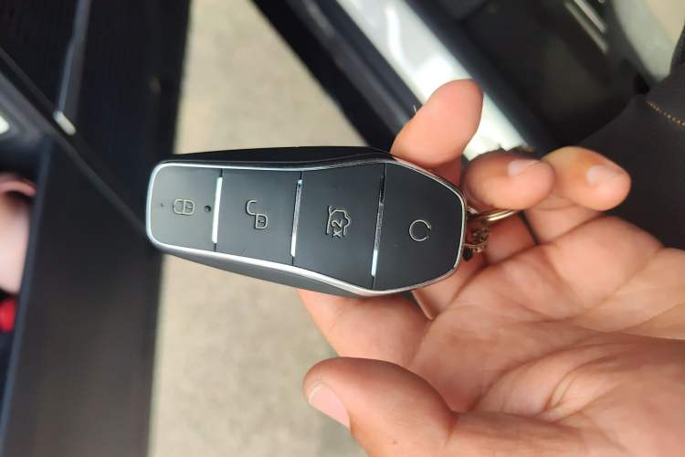 Used BYD Tang New Energy 2025 DM-i 115KM Prestige Model