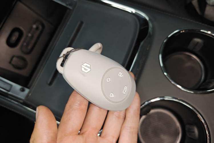 Used Leapmotor C11 2021 Revised Version Luxury Edition