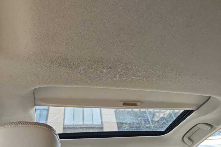 Used Toyota Prado 2010 4.0L Automatic TX-L Headliner