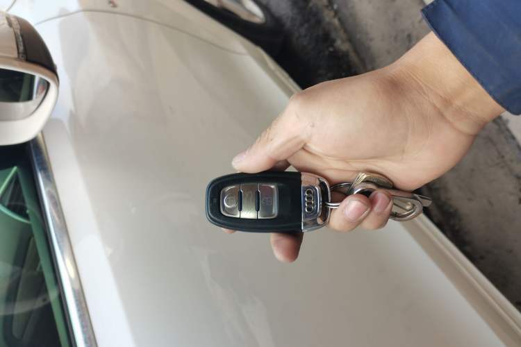 Used Audi Q5 2017 Plus 40 TFSI Ambition Model
