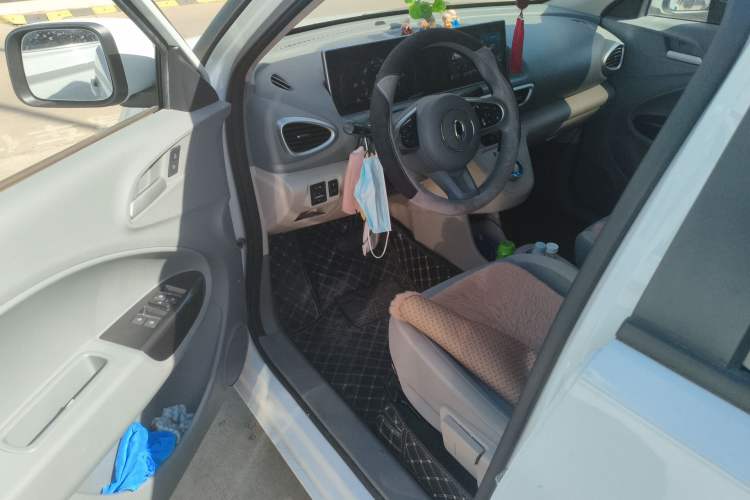 Used ORA White Cat 2020 305 km Luxury Version Driver Seat