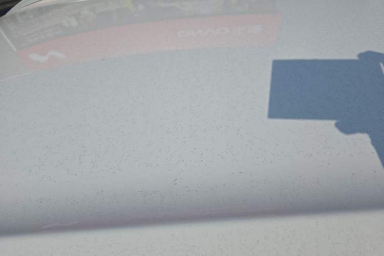 Used Everus VE-1 2021 Travel Edition
