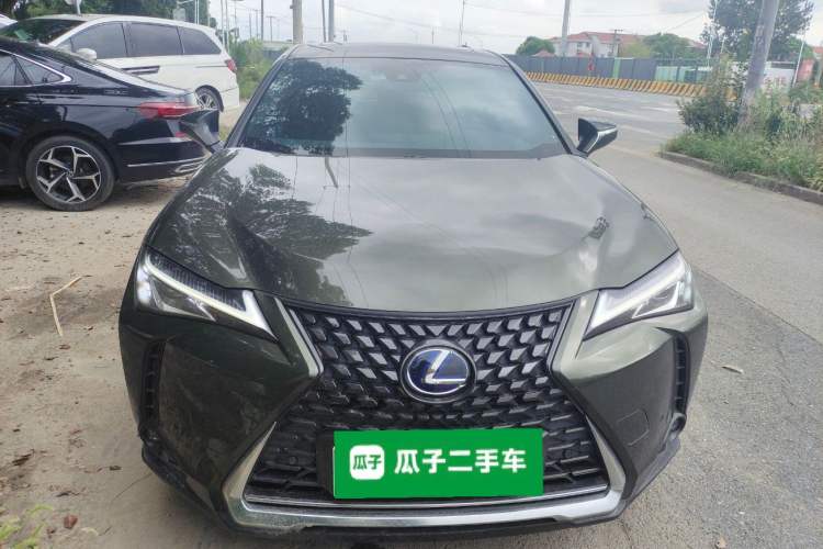 Used Lexus UX New Energy 2020 300e Pure·Joy Edition Exterior 1