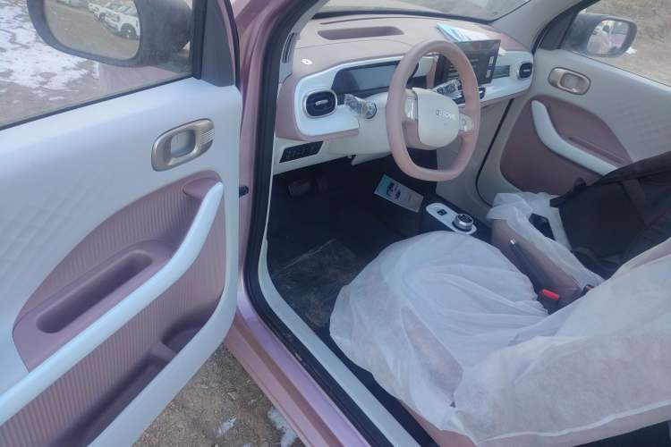 Used Geely Galaxy Panda 2025 210 km – Yuanqi Bear Driver Seat