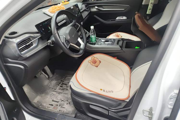 Used BYD Destroyer 05 2024 HONOR Edition DM-i 55KM Luxury Model Driver Seat