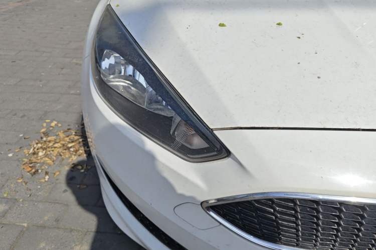 Used Ford Focus 2017 Hatchback EcoBoost 180 Automatic Sport Model