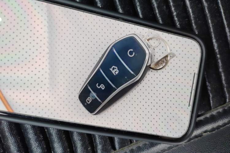 Used BYD Destroyer 05 2024 HONOR Edition DM-i 55KM Luxury Model Vehicle Key