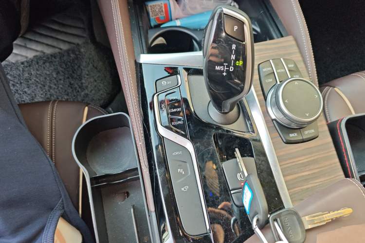 Used BMW 5 Series New Energy 2019 530Le Luxury Package
