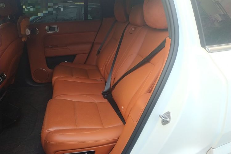 Used Li Auto L7 2023 Air model Left Rear Seat