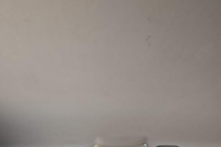 Used GAC Trumpchi GS5 2012 2.0L Manual Two-Wheel Drive Comfort Edition Headliner