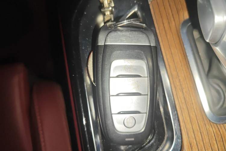 Used Hongqi E-HS9 2021 510 km Range Flagway Edition Six Seats Vehicle Key