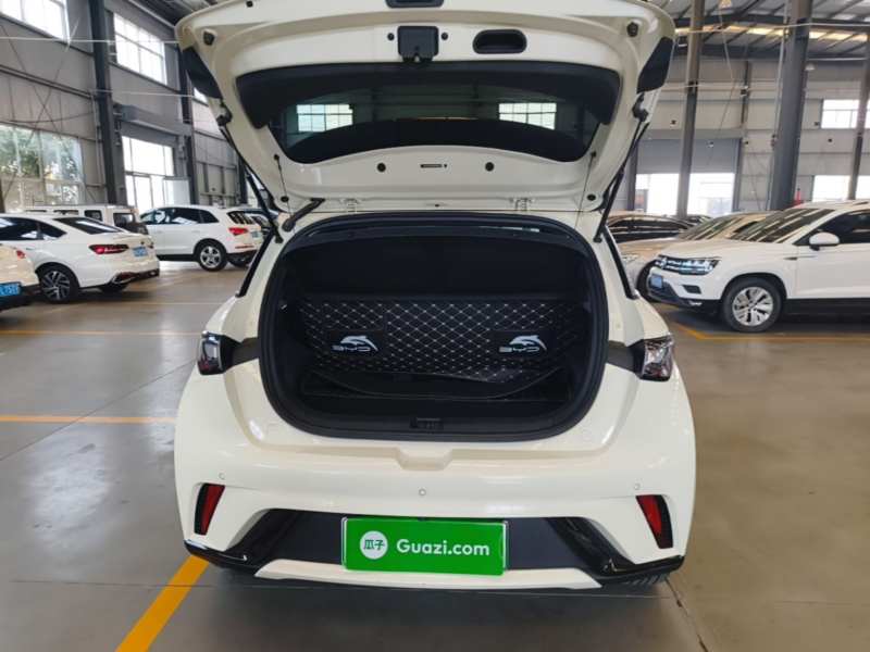 Used BYD Dolphin 2021 405 km Fashion Edition — 18