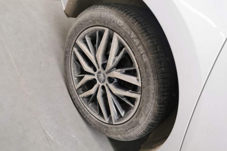 Used BYD Qin PLUS 2023 Champion Edition EV 510KM Beyond Model
