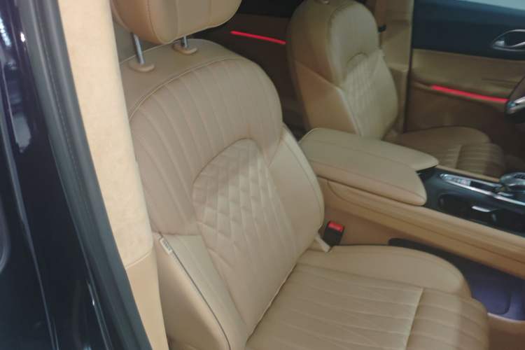 Used VOYAH Dream 2024 PHEV Ultra-Long Range Flagship Edition Right Front Seat