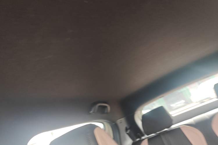 Used BYD Seagull 2024 Honor Edition 305km Dynamic Version Headliner