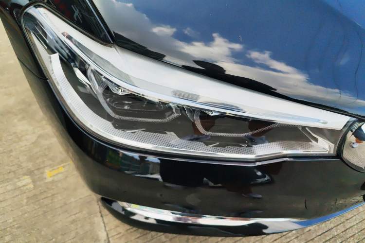 Used BMW 5 Series New Energy 2019 530Le Luxury Package
