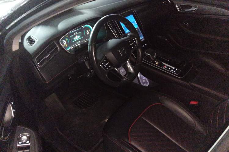 Used Rising ER6 2021 New Dynamic Edition 620km Smart Enjoyment Version