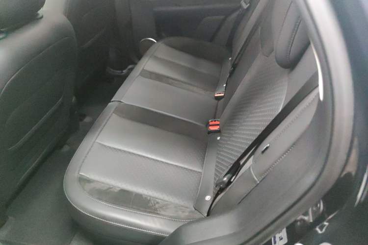 Used firefly 2025 Night Creature Special Edition
