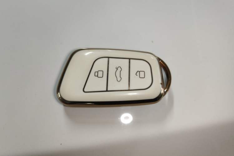 Used Chery QQ Little Ant 2022 Sweet Pink Edition Low-Sugar Version Lithium Iron Phosphate 29.2 kWh 30 kW 301 km Vehicle Key