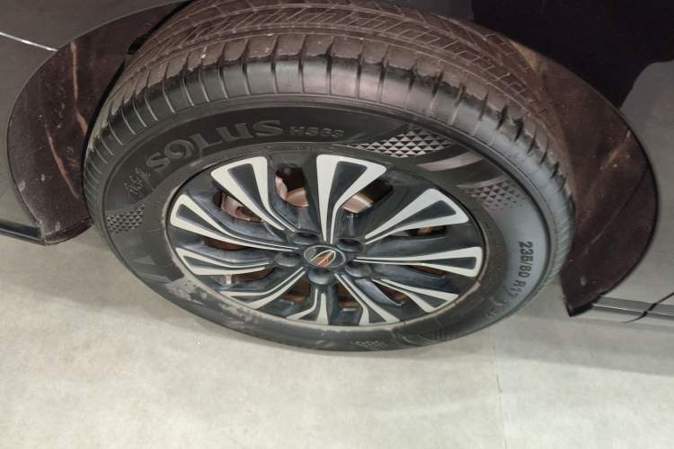 Used Hongqi HQ9 PHEV 2024 2.0T Four-Wheel Drive Luxury Edition