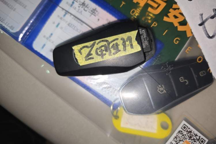 Used BYD Yuan Pro 2021 "Love for a Lifetime" Edition