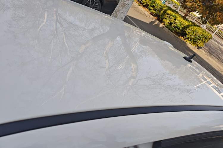 Used ORA Black Cat 2019 351 km Fun Edition
