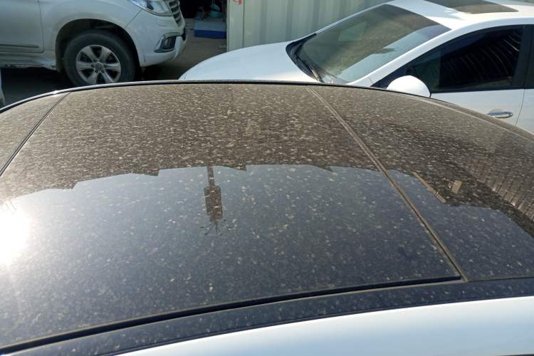 Used Mercedes-Benz C-Class 2021 C 260 L Sport Edition Star Collection
