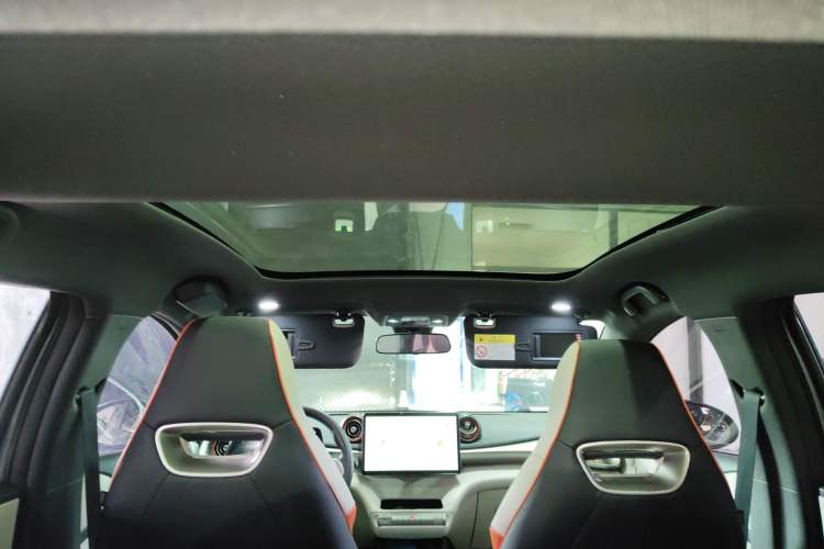 Used BYD Dolphin 2021 405 km Fashion Edition Headliner