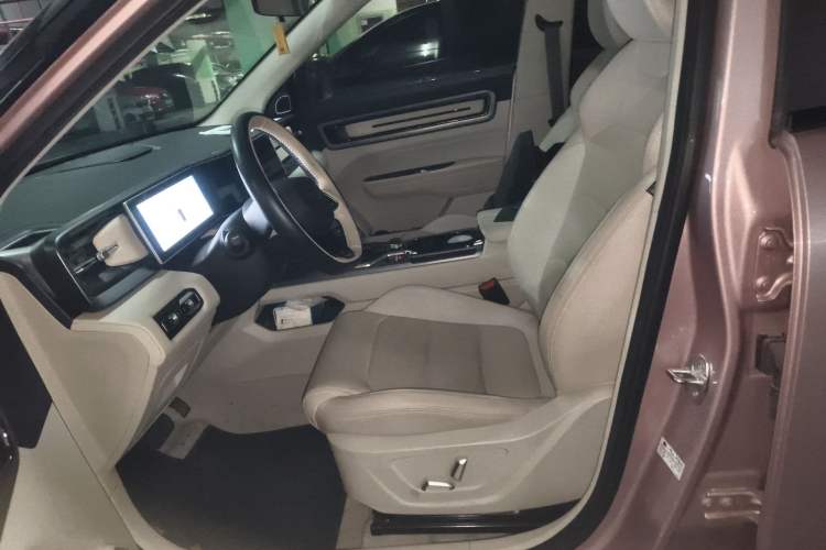 Used Geely Auto icon 2023 1.5TD Chocolate Smoothie Edition Left Front Seat