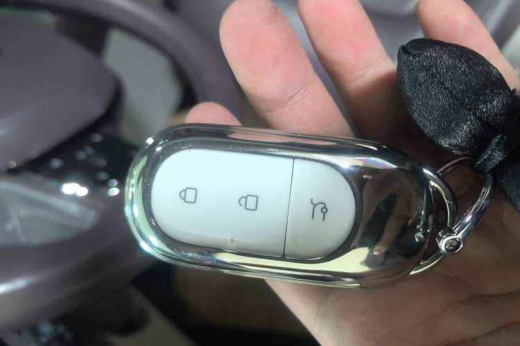 Used Leapmotor C11 2023 Pure Electric 500 Smart Edition Vehicle Key