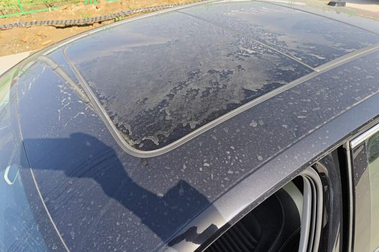 Used Volkswagen Magotan 2020 330TSI DSG Leading Model