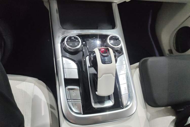 Used Cyberspace Tank 300 2021 2.0T Cyber Tank
