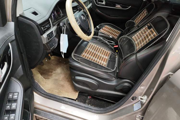 Used FORTHING SX6 2019 1.6L Manual Luxury Model China VI Standard