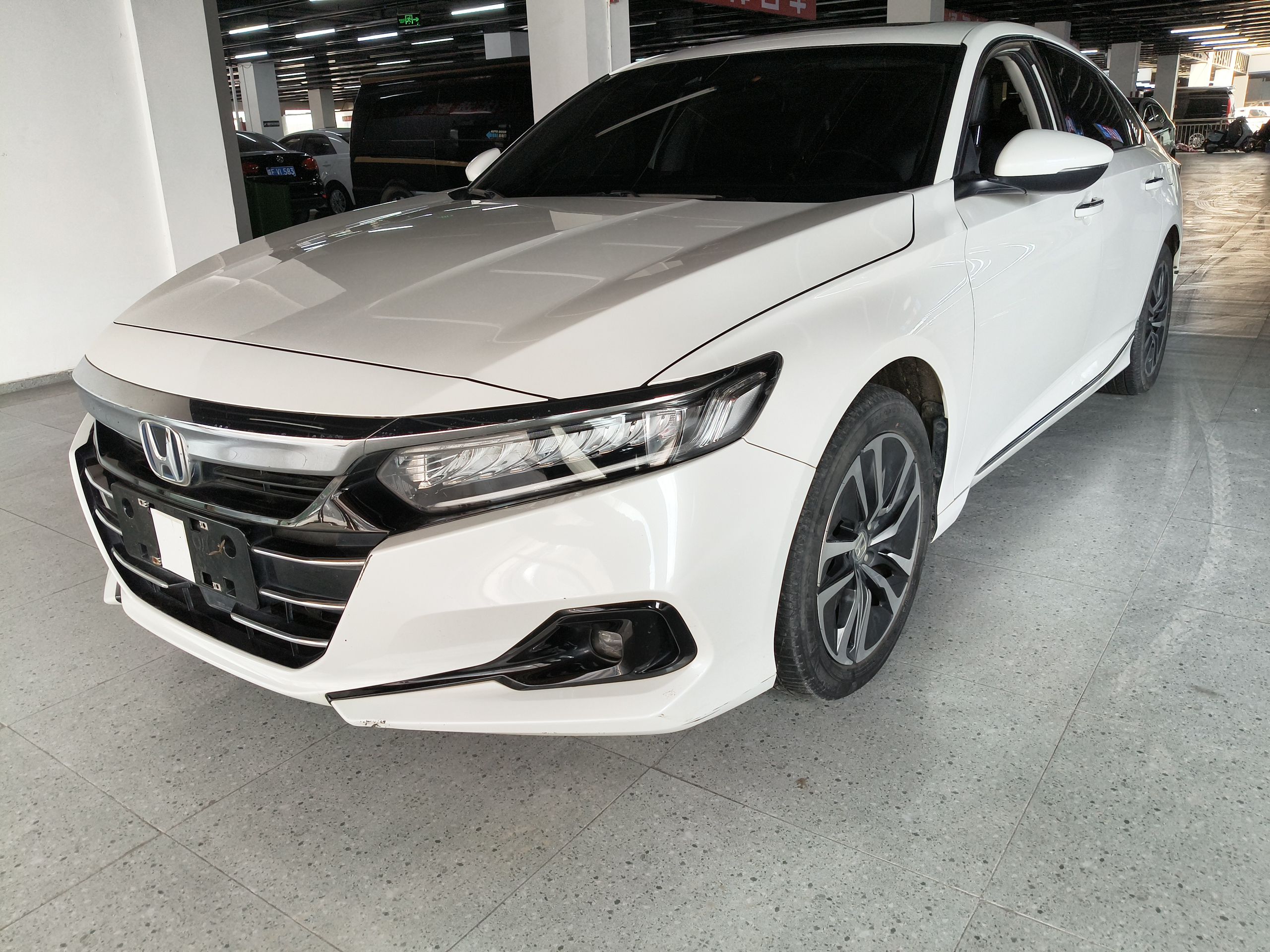 Parte inferior delantera