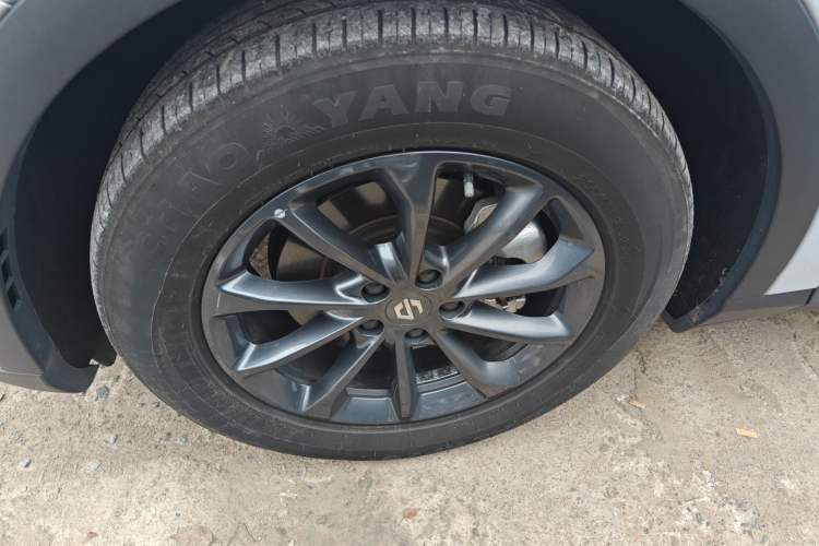 Used Leapmotor C11 2023 Pure Electric 500 Comfort Edition
