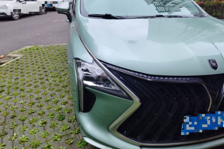 Used FORTHING Yacht 2022 1.5T DCT Lan Yue Edition