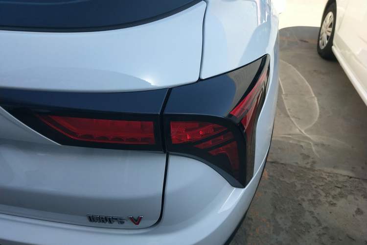 Used NETA V 2021 Long-Range Entertainment Edition Upgrade Model