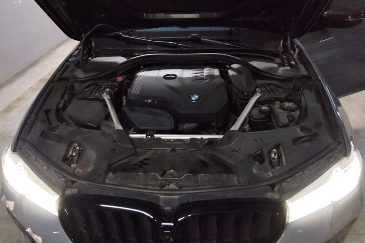 Used BMW 5 Series 2021 530Li Luxury Edition M Sport Package
